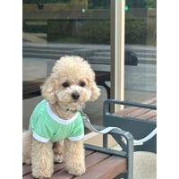 Weaved Cropped Short Sleeve Tshirt Green