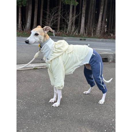 Waterproof Windproof Windbreaker Yellow