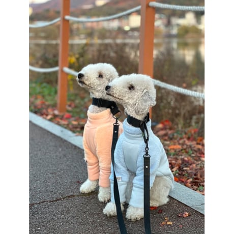 Mochi Fleece Blue