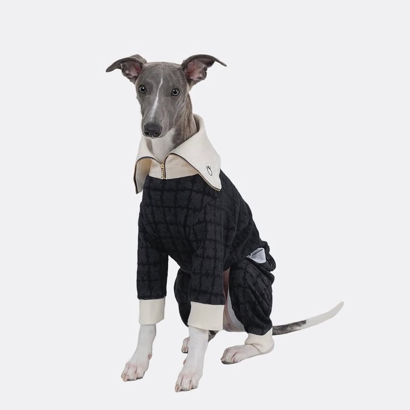 Old Collar All in one IVORY | mignon select for