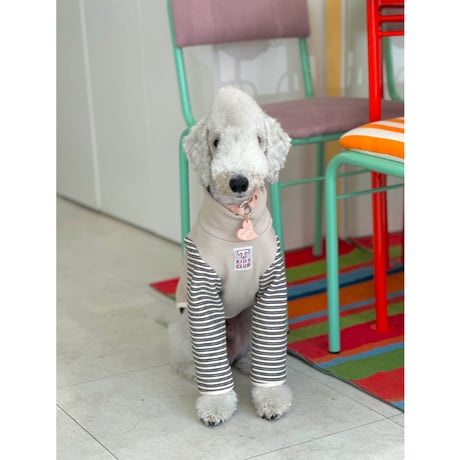 Kids Club Sleeve Stripe Turtleneck sweatshirt Beige