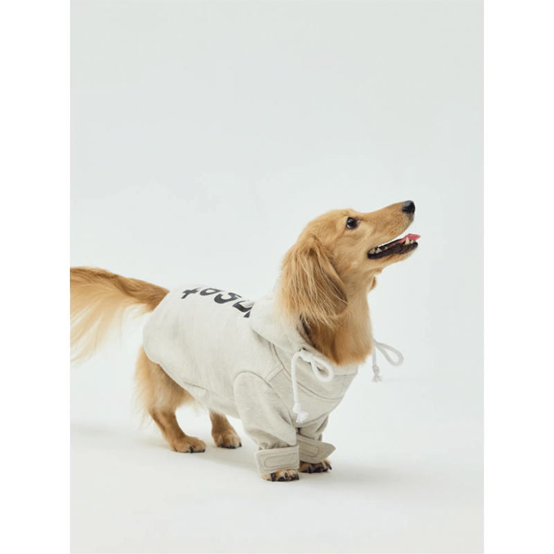 mignon select for dog