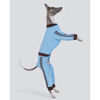 Point Logo Training Jersey Set SKY
