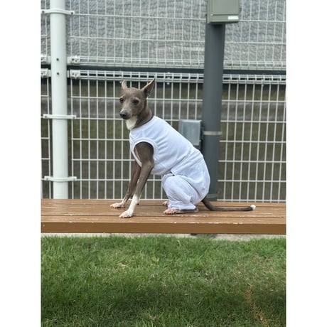 Balloon Training Pants WHITE MELANGE
