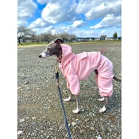 Waterproof Windproof Windbreaker Pink