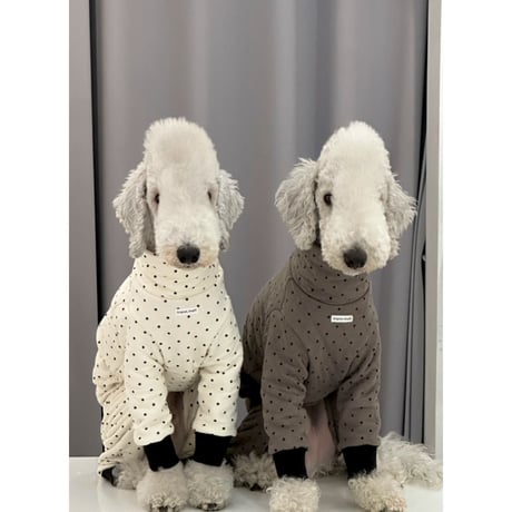Polka Dot Quilted All in one Ivory