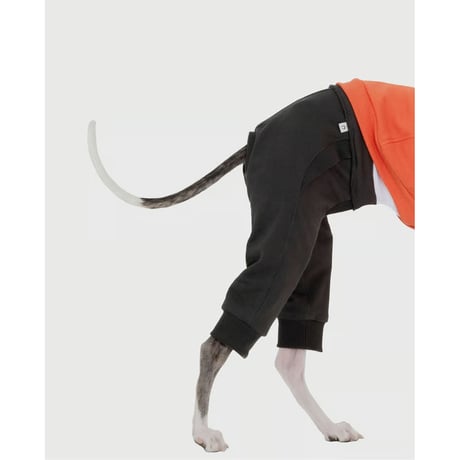 Pocket Point Sweatshirt ORANGE