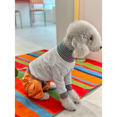 Stripe Sweatshirt Blue&Orange
