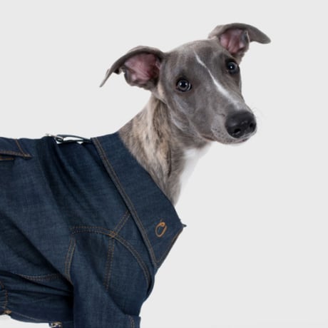 Point Logo Denim All-in-One