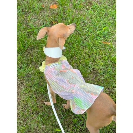 Printed Pleated Frill Dress Yellow