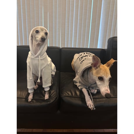 More Long Walks Hoodie Gray
