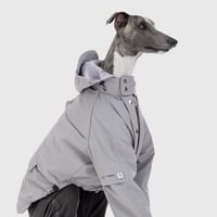 Pintuck Sleeve Jacket GRAY