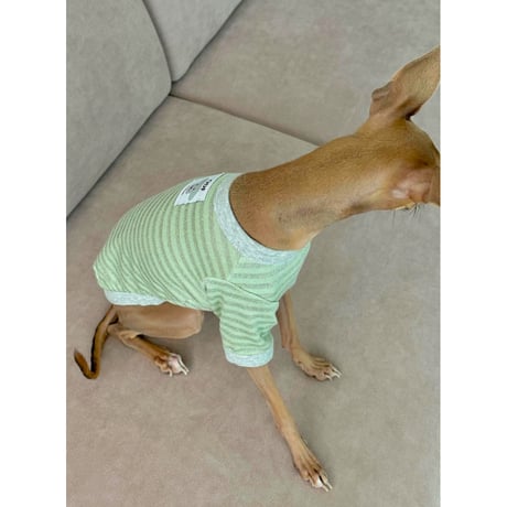 Silver Stripe Short Sleeve Tshirt Green