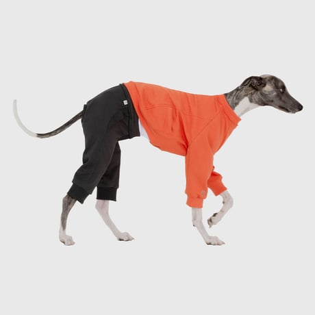 Block Pants ORANGE