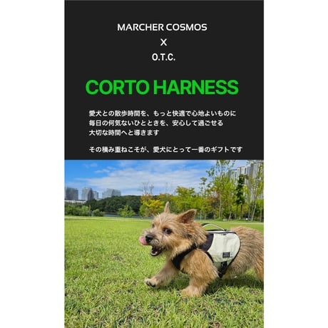 MARCHER COSMOS × O.T.C CORTO HARNESS