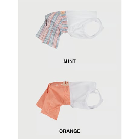 Summer Pants MINT