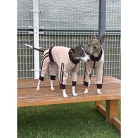 Point Logo Training Jersey Set BEIGE
