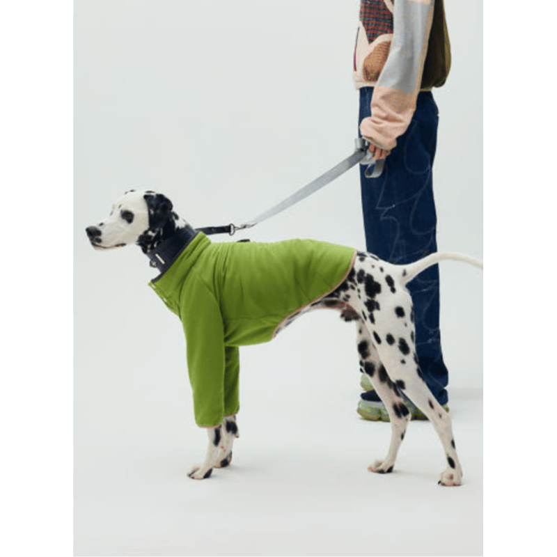 mignon select for dog