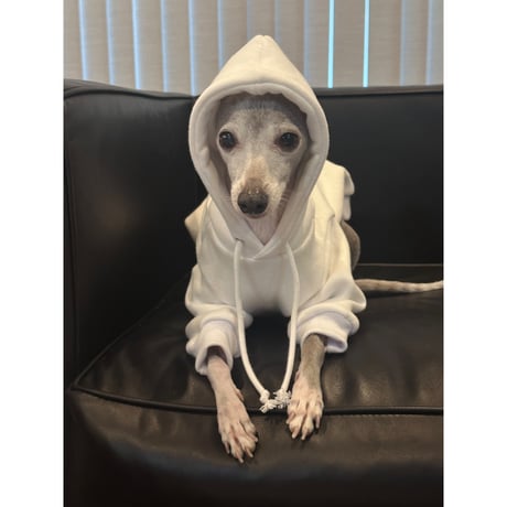 More Long Walks Hoodie White