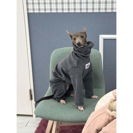 Velvet Golden All in one Gray