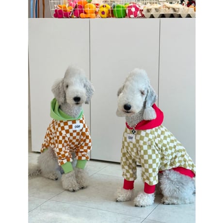 Checkerboard Hoodie Mint