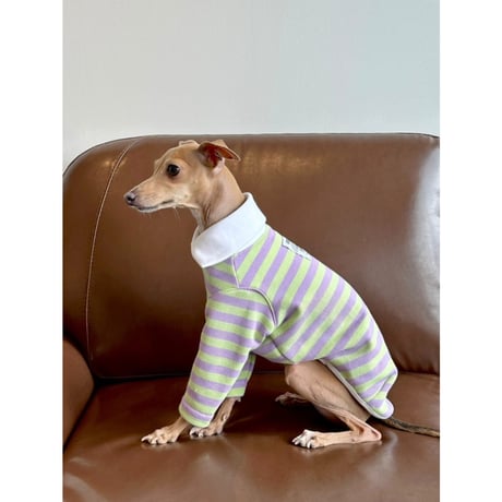 Stripe Collar Sweatshirt Purple＆Green