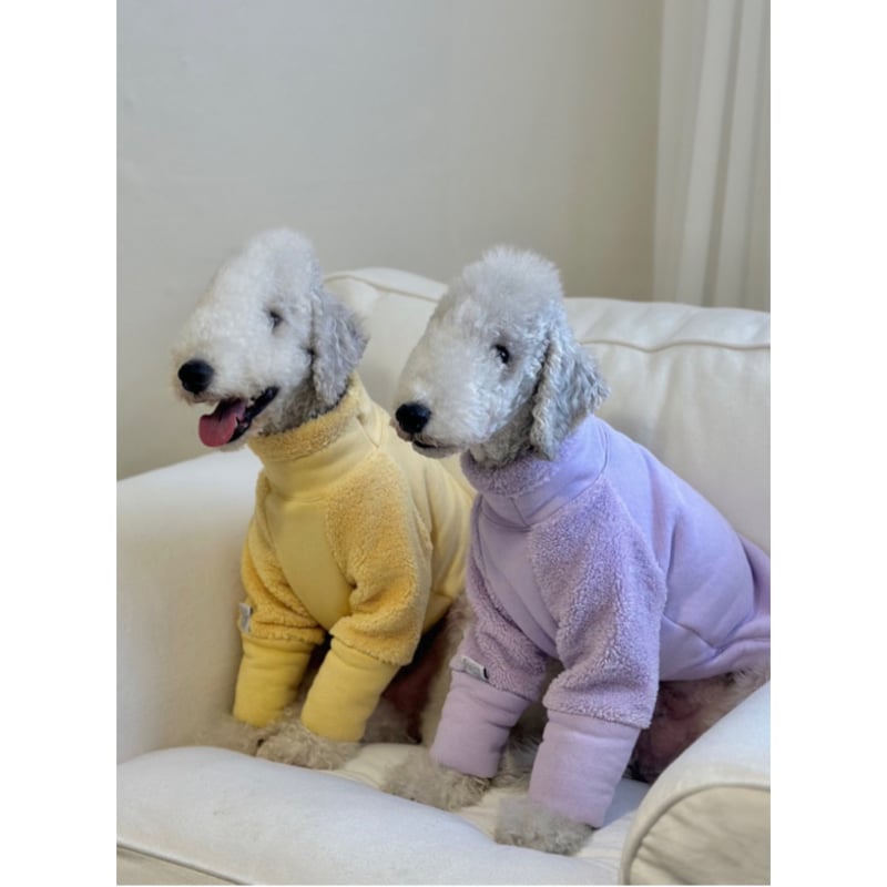 Mochi Fleece Purple | mignon select for dog