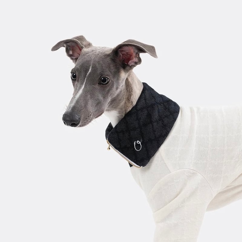 Old Collar All in one IVORY | mignon select for