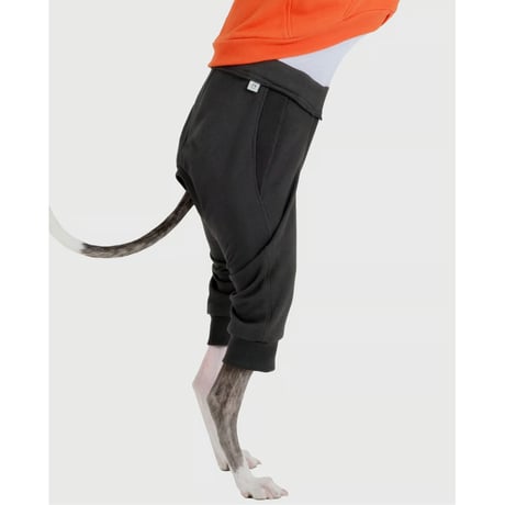 Block Pants ORANGE