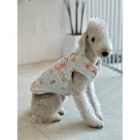Hamtori Vest