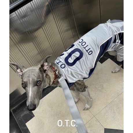 [LIMITED MODEL] OTTO University Basketball Uniform SET UP SILVER×NAVY