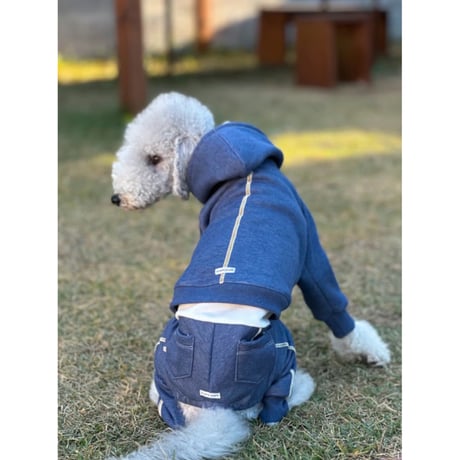 Denim Line Hooded Cropped Length