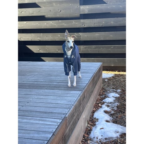 Denim Line Hooded Cropped Length