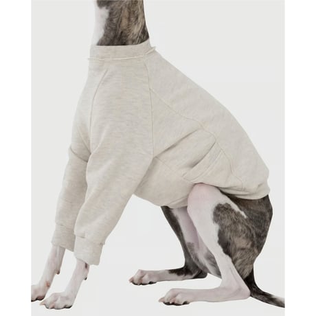 Pocket Point Sweatshirt ORANGE