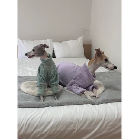 Mochi Fleece Mint