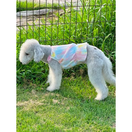 Printed Pleated Frill Dress Pink