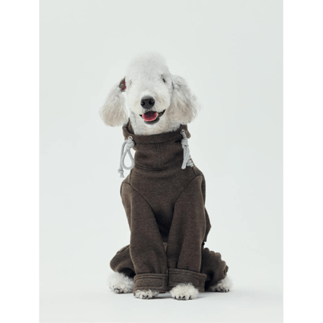 イタリアングレーハウンド | STORES