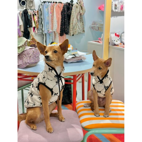Balletcore Ribbon Vest
