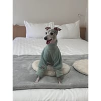 Mochi Fleece Mint