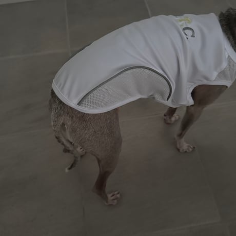 Anti Bug Cool Touch Tank Top WHITE