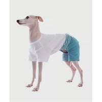 Stripe Mix Half Pants MINT