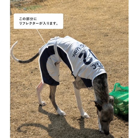 [LIMITED MODEL] OTTO University Basketball Uniform SET UP SILVER×NAVY