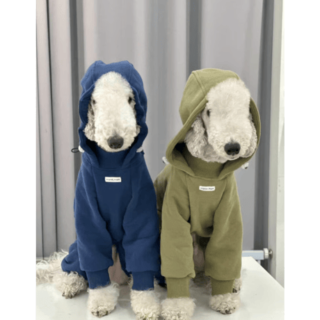Fleece Hooded Polar All-in-One Olive