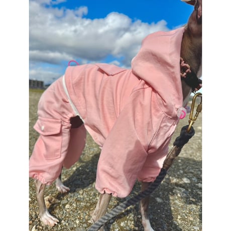 Waterproof Windproof All in one Pink