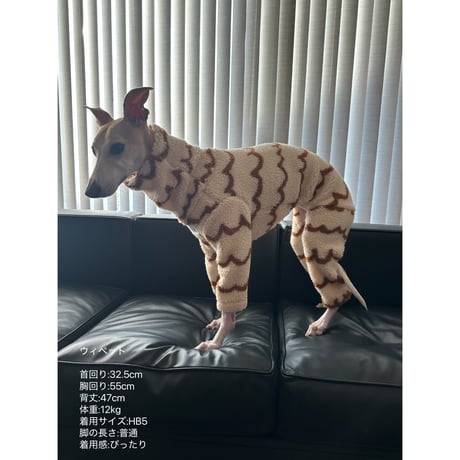 Taiyaki All in one Ivory