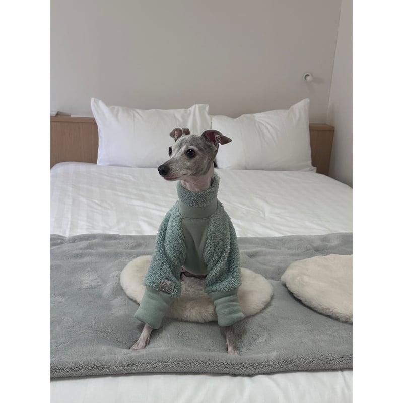 Mochi Fleece Purple | mignon select for dog