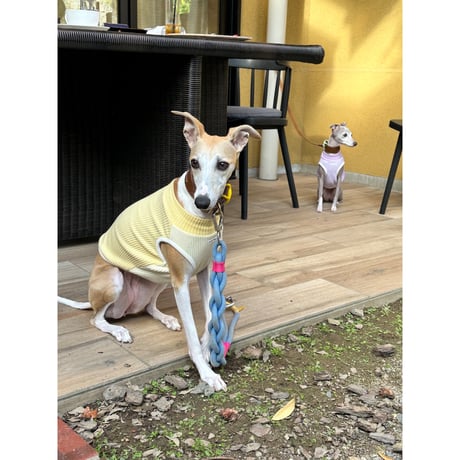 Waffle Knit 4Colors Yellow