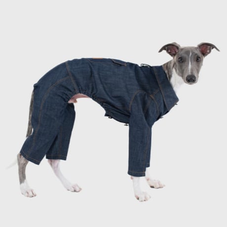 Point Logo Denim All-in-One
