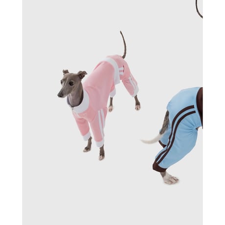 Point Logo Training Jersey Set SKY
