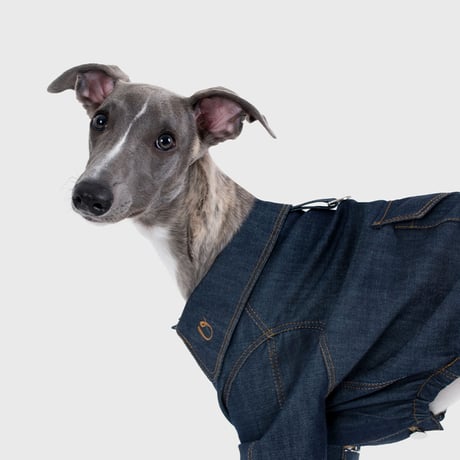 Point Logo Denim All-in-One